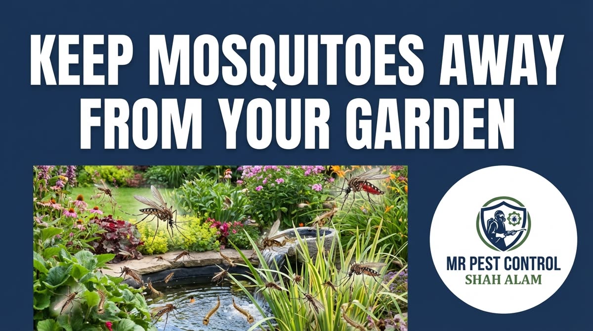 How to Keep Mosquitoes Away from Your Garden