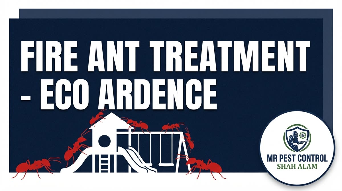 Fire Ant Treatment at Playground, Eco Ardence