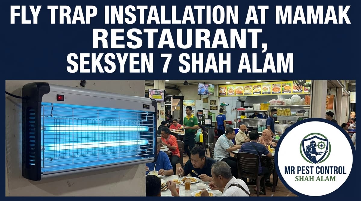 Fly Trap Installation at Mamak Restaurant, Seksyen 7